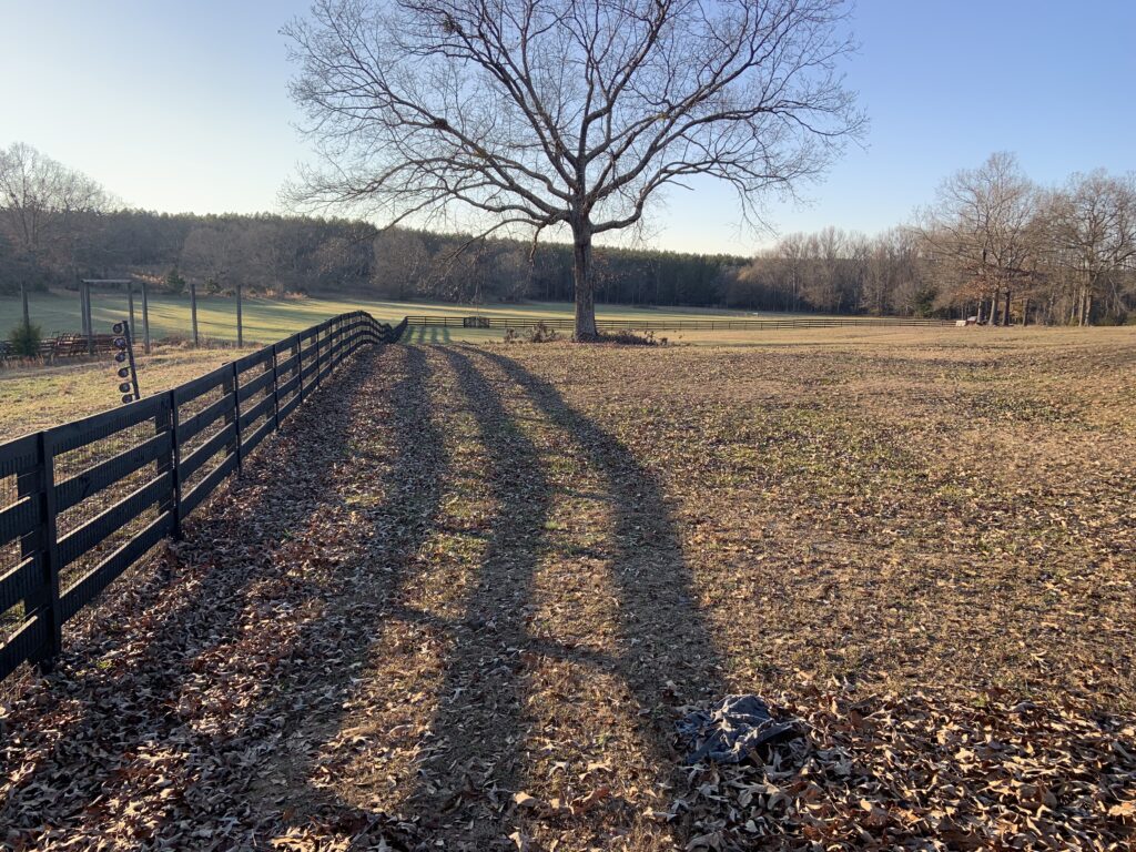 Black ranch fence line across a pasture