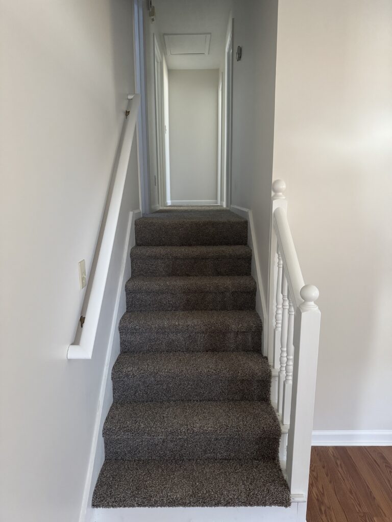 Staircase with new carpet